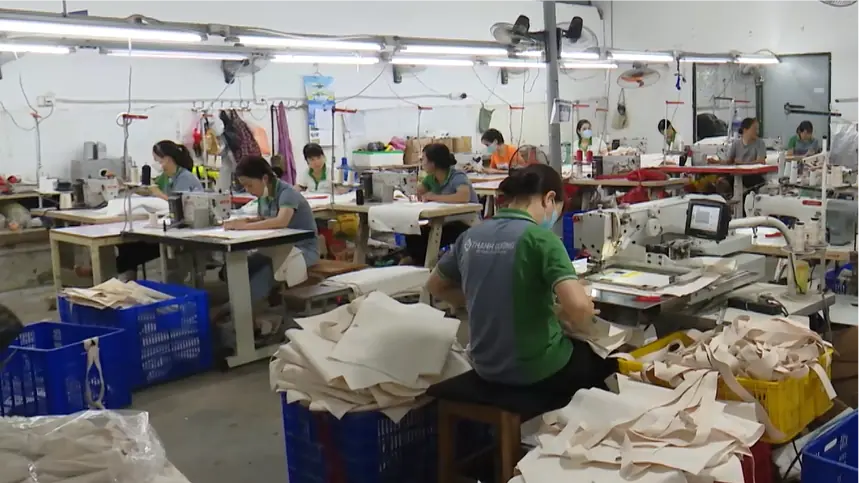 Vải giầy Thanh Cường | Mỗi xã một sản phẩm | 27/10/2025